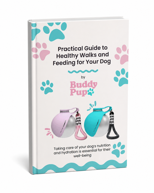 Healthy Guide